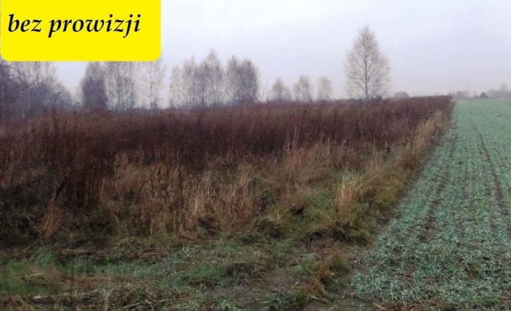 działka na sprzedaż - Zgierz, Rudunki